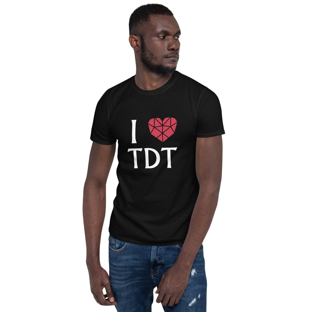 T-Shirt Men - I Love TDT