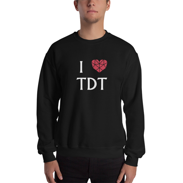 Men's Sweater - I Love TDT