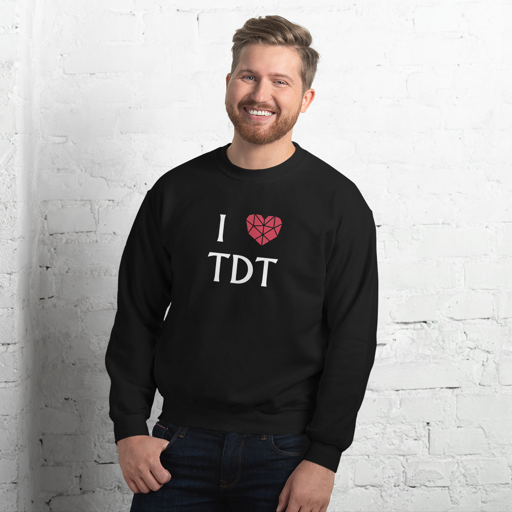 Men's Sweater - I Love TDT